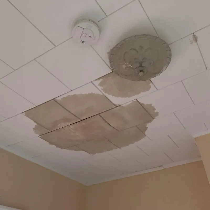Ceiling Water Damage Repair in New Hope, MN