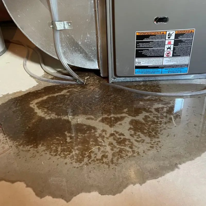 Pipe Burst and Leak Restoration in New Hope, MN